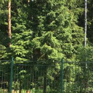 Клиент