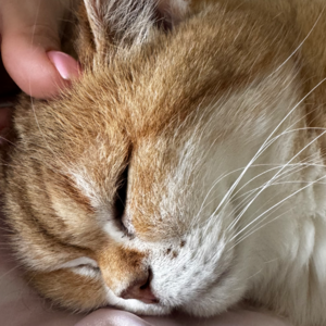Клиент