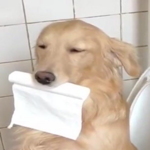 Клиент