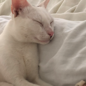 Клиент